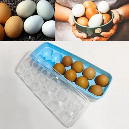 Portable Plastic 12 Slots Egg Storage Box Container Tray